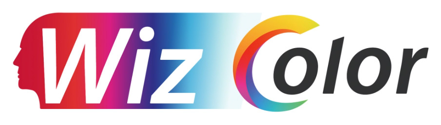 Dahua WizColor Dahua WizColor